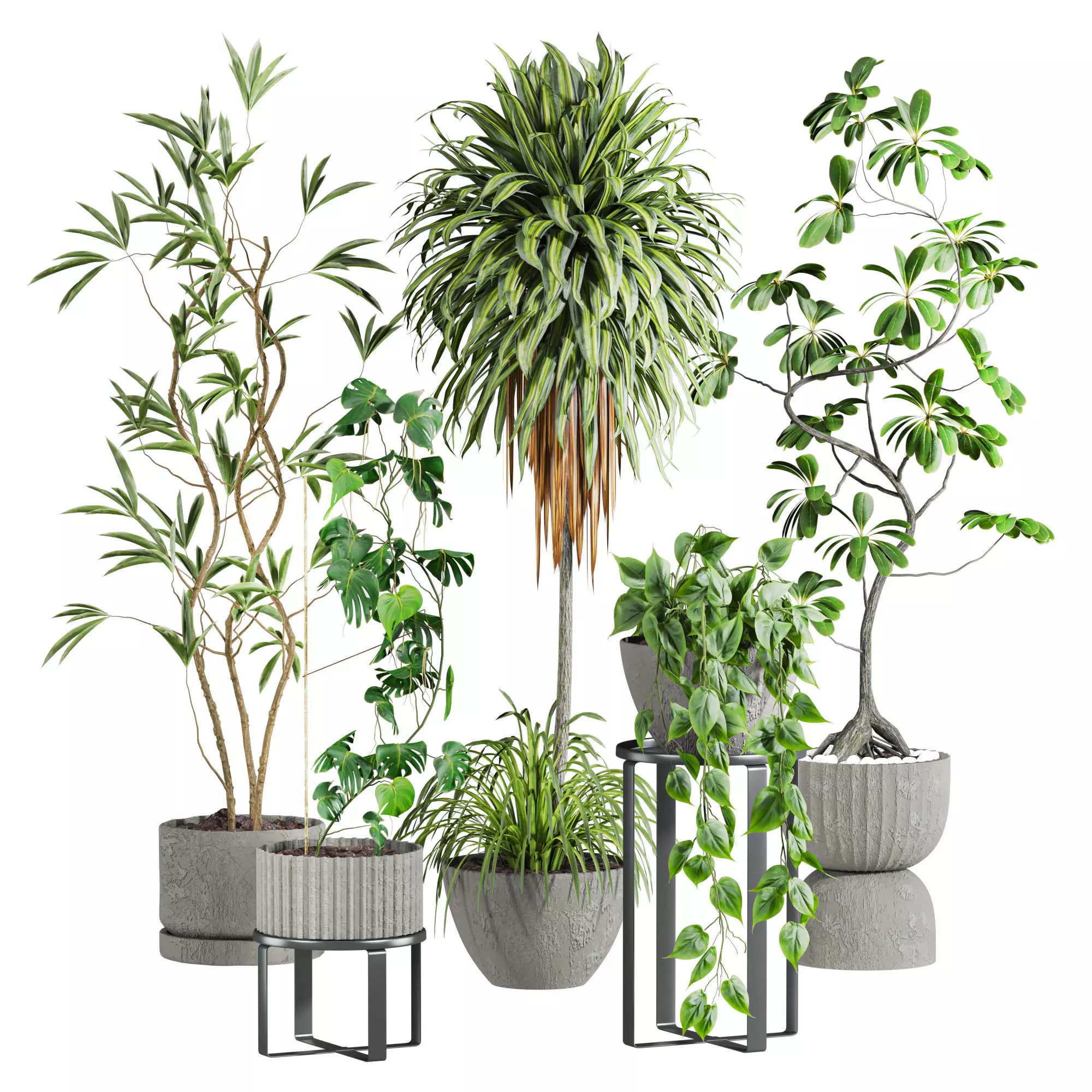 Plants Set 3D model_0