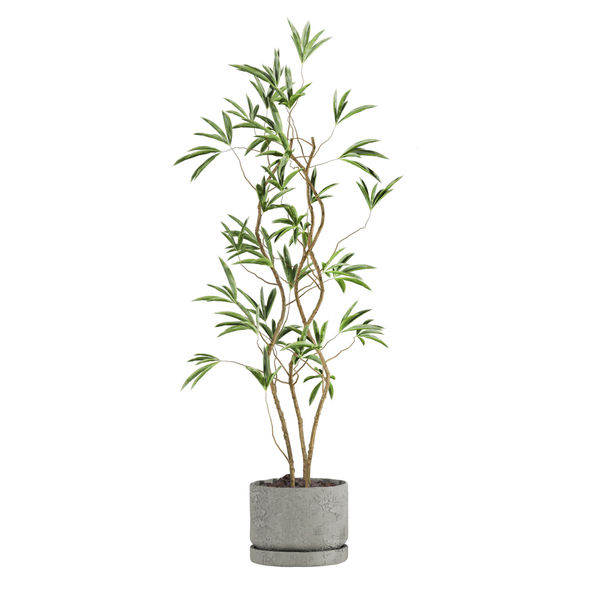 Plants Set 3D model_3