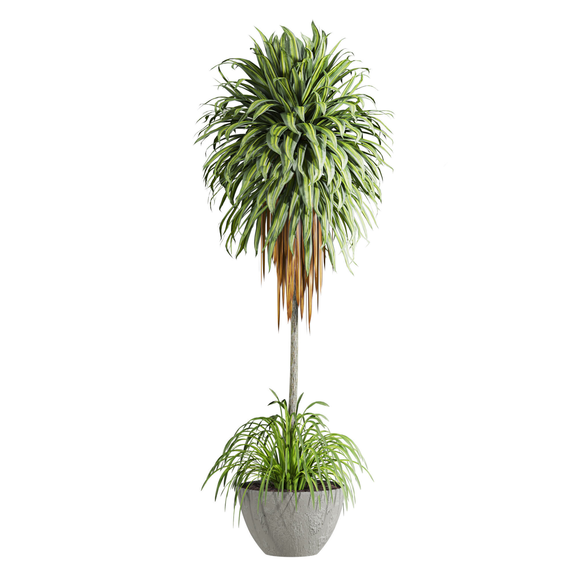 Plants Set 3D model_4