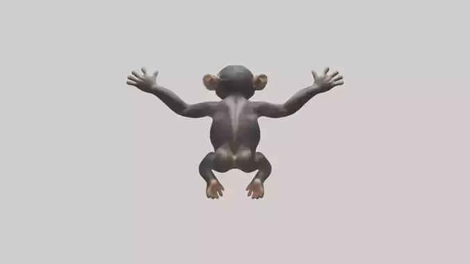 Common Chimpanzee playing model