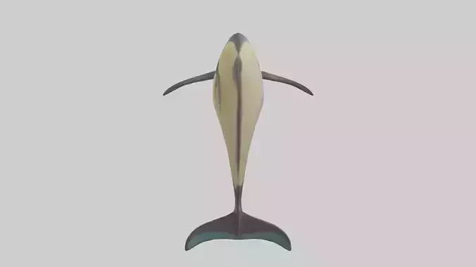 Common Dolphin breaching model 3D model