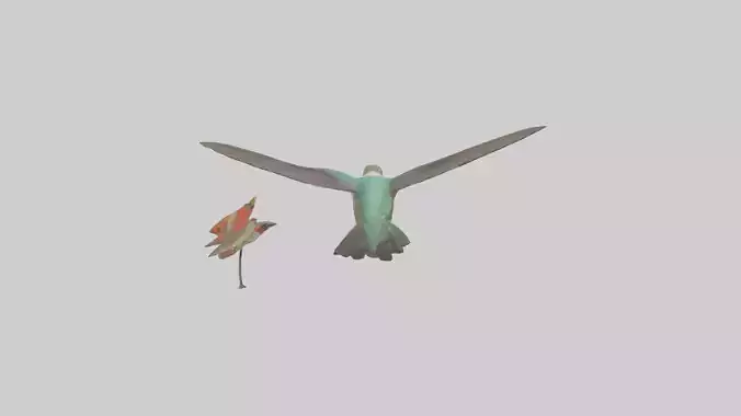 Common Hummingbird hovering model