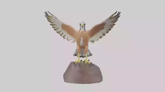 Common Kestrel statue model
