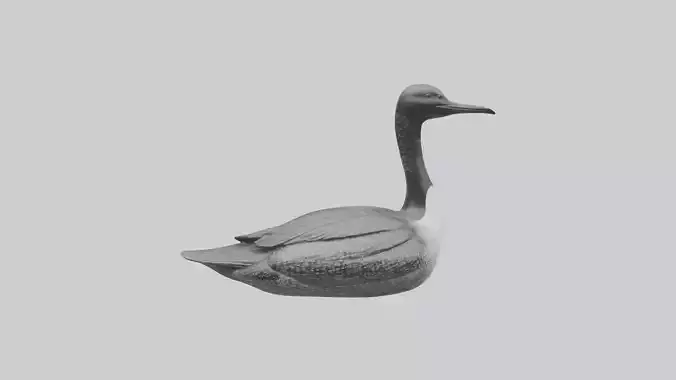 Common Loon statue model