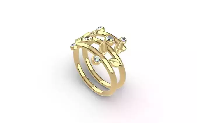 Ring jewelry