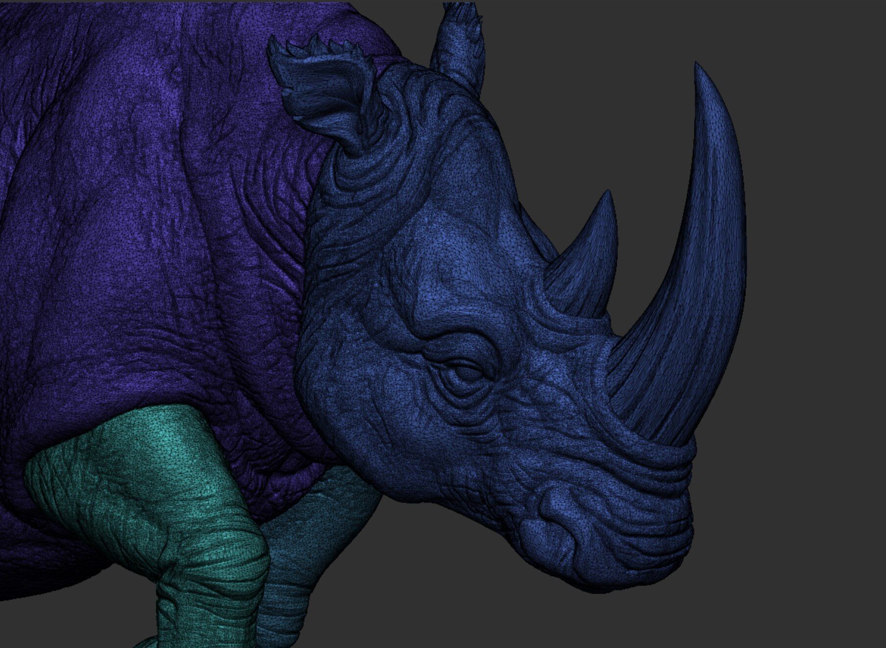 Powerful Rhinoceros 3D print model_14