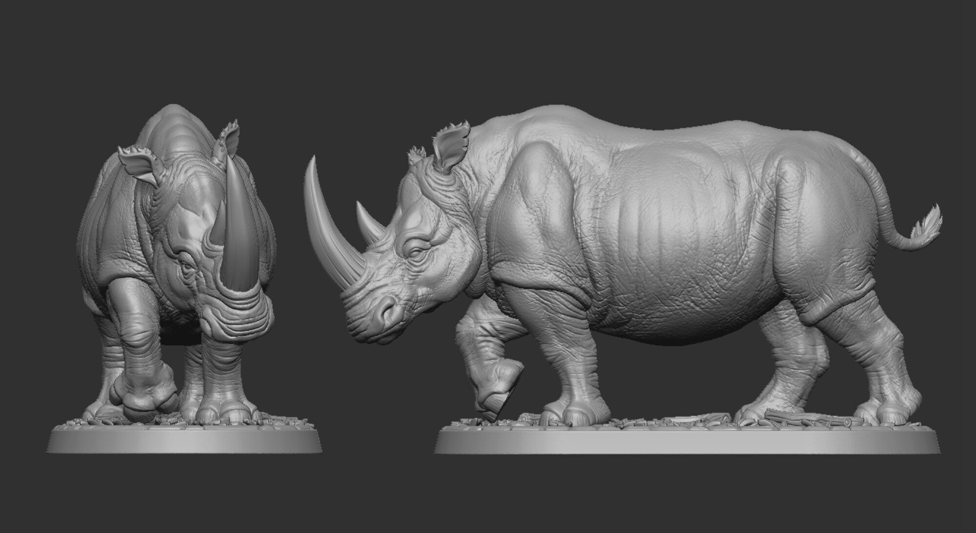 Powerful Rhinoceros 3D print model_11