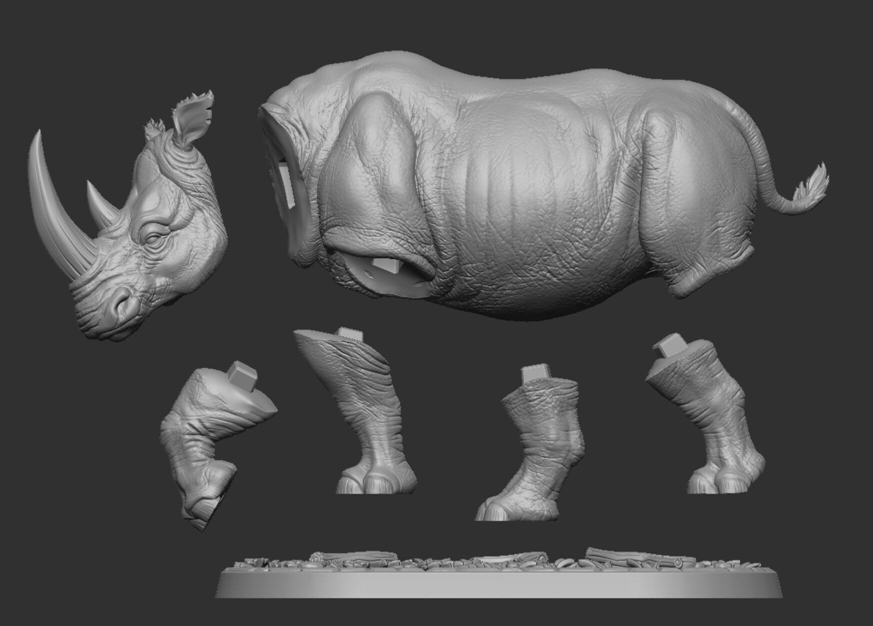 Powerful Rhinoceros 3D print model_12