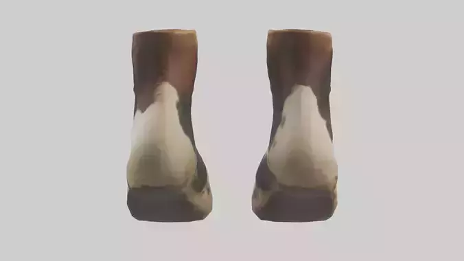 Cow Hooves Model