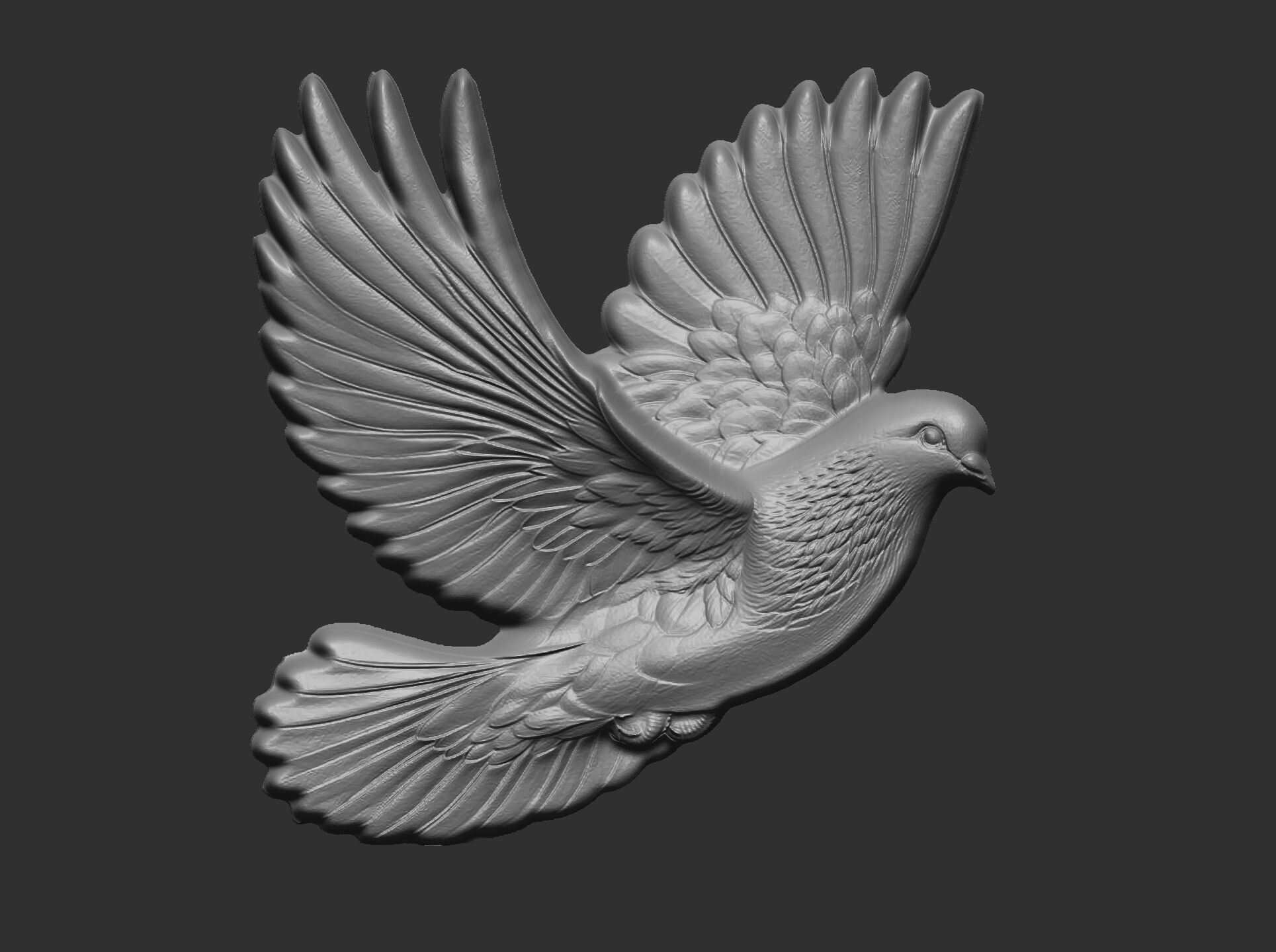 Dove cnc model  3D print model_1