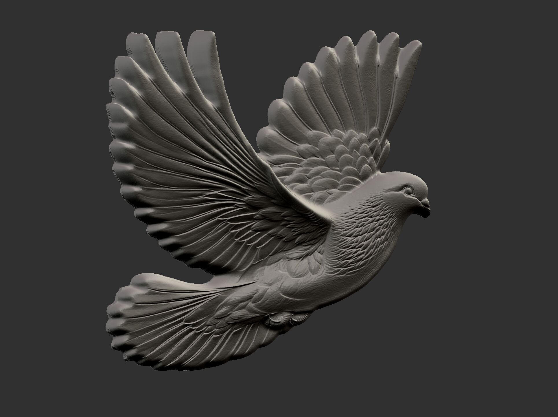 Dove cnc model  3D print model_4
