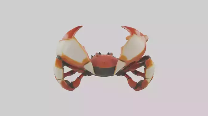 Crab Claws Model