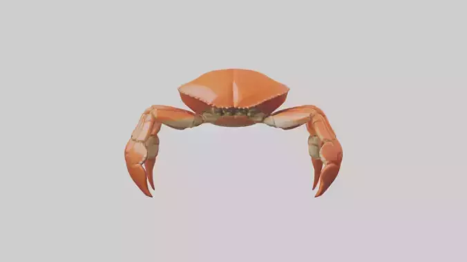 Crab Legs Model