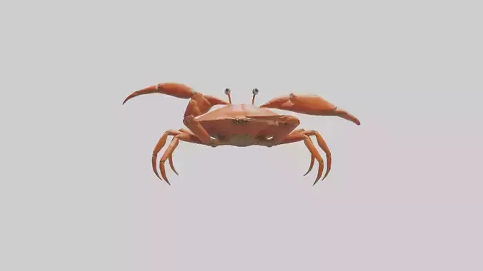 Crab walking sideways model