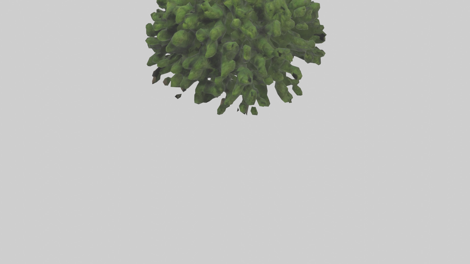 Creeping Juniper tree model 3D model_5