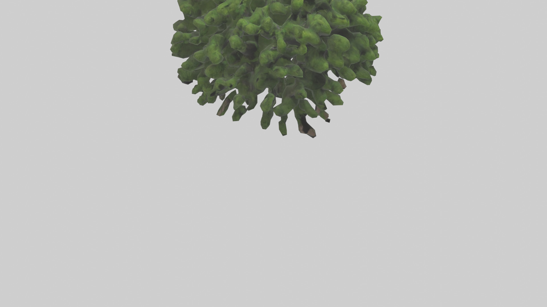 Creeping Juniper tree model 3D model_6