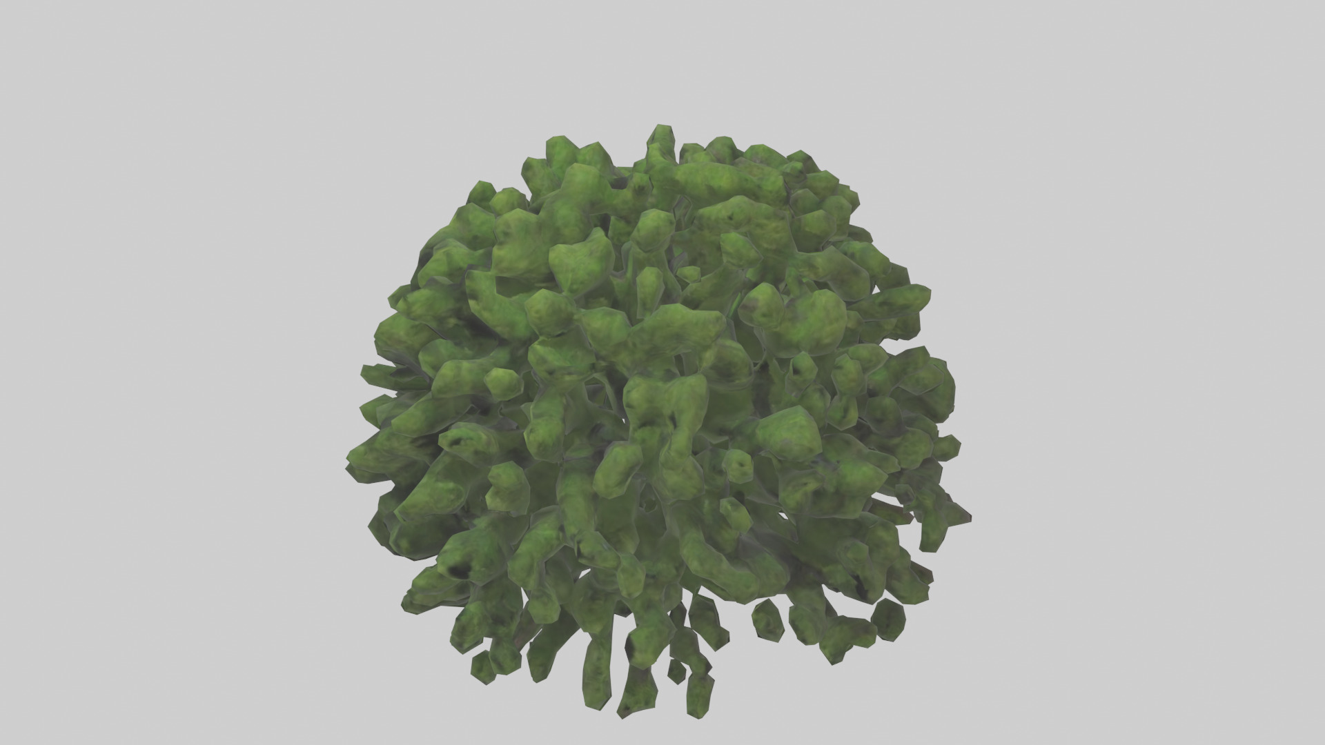 Creeping Juniper tree model 3D model_17