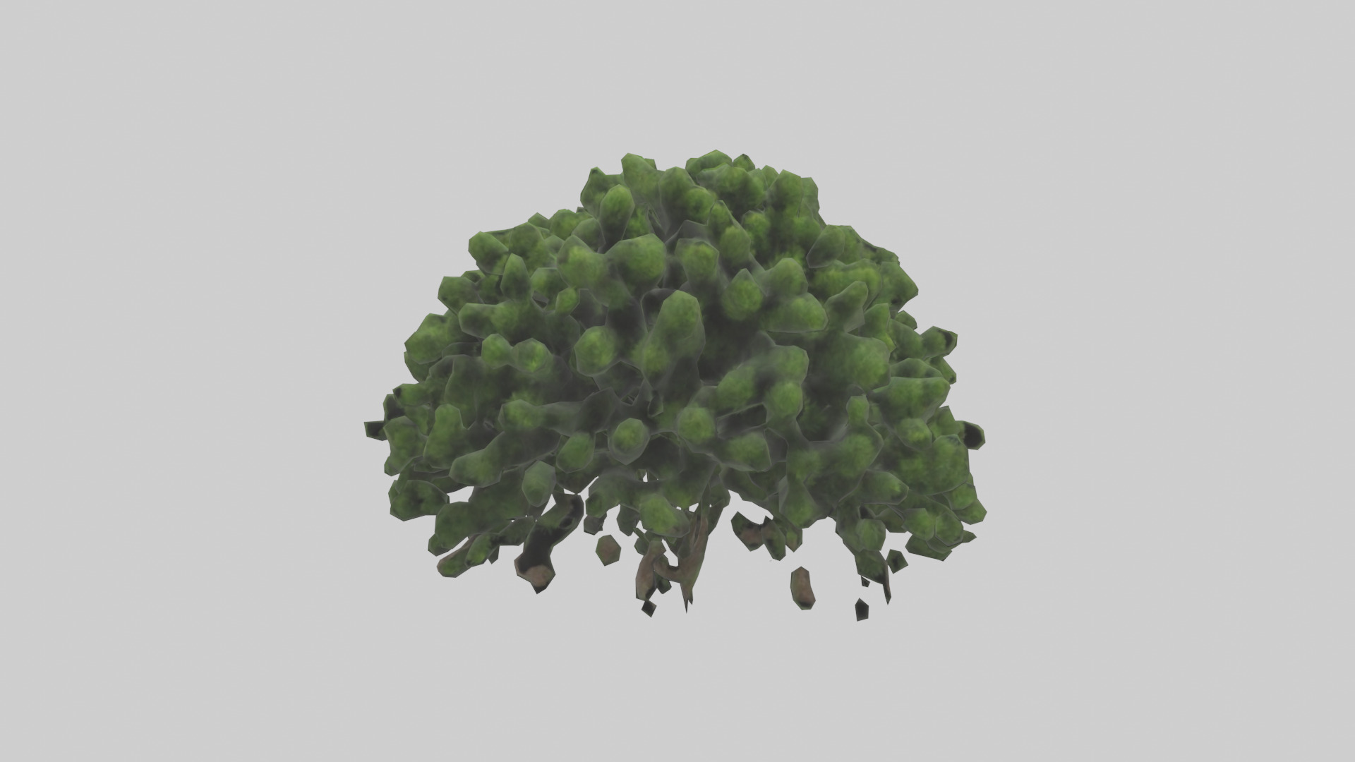 Creeping Juniper tree model 3D model_9