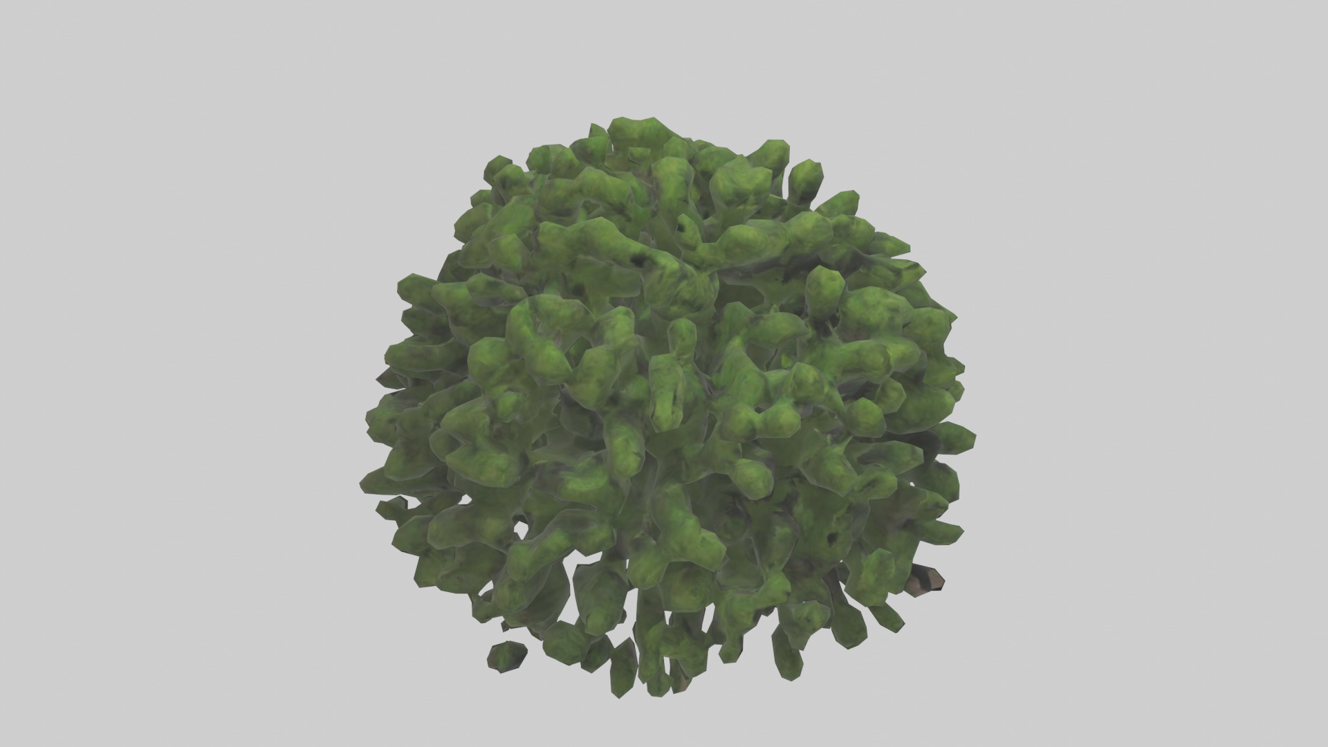 Creeping Juniper tree model 3D model_18