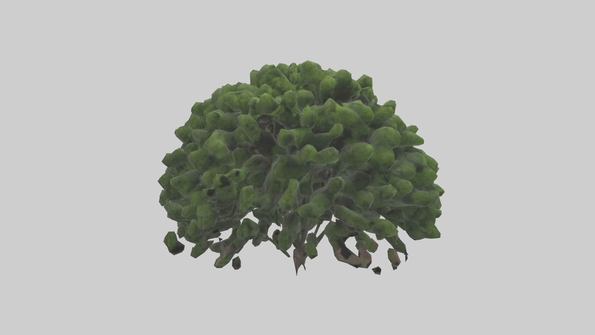 Creeping Juniper tree model 3D model_7