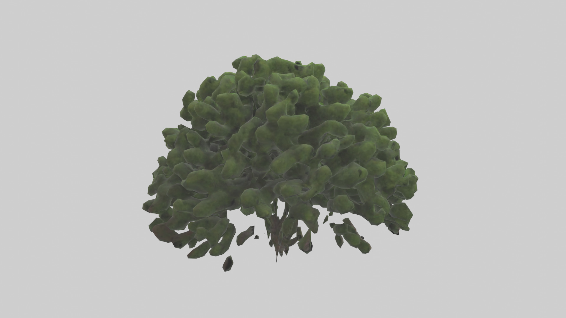 Creeping Juniper tree model 3D model_2