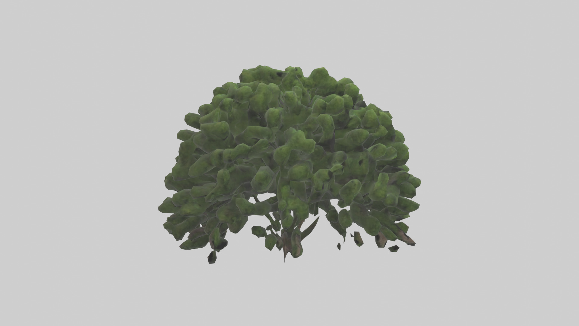 Creeping Juniper tree model 3D model_13