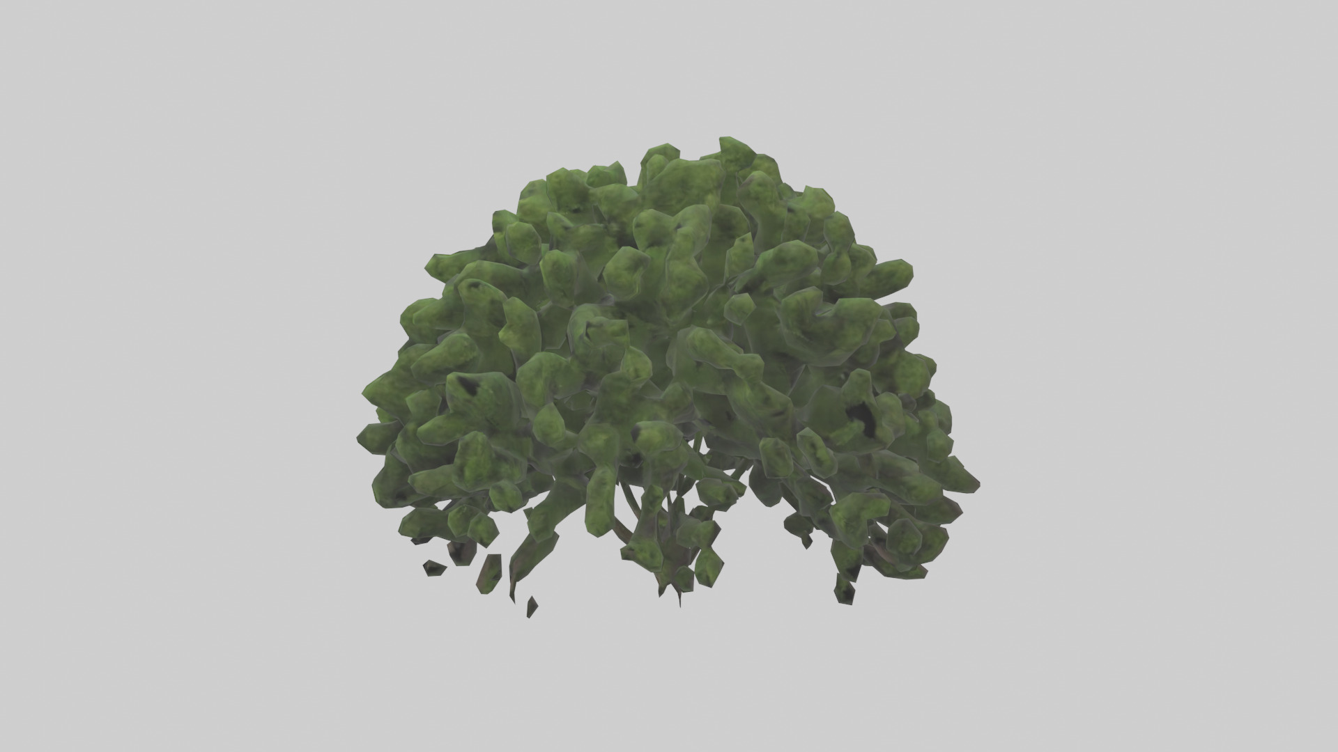 Creeping Juniper tree model 3D model_12