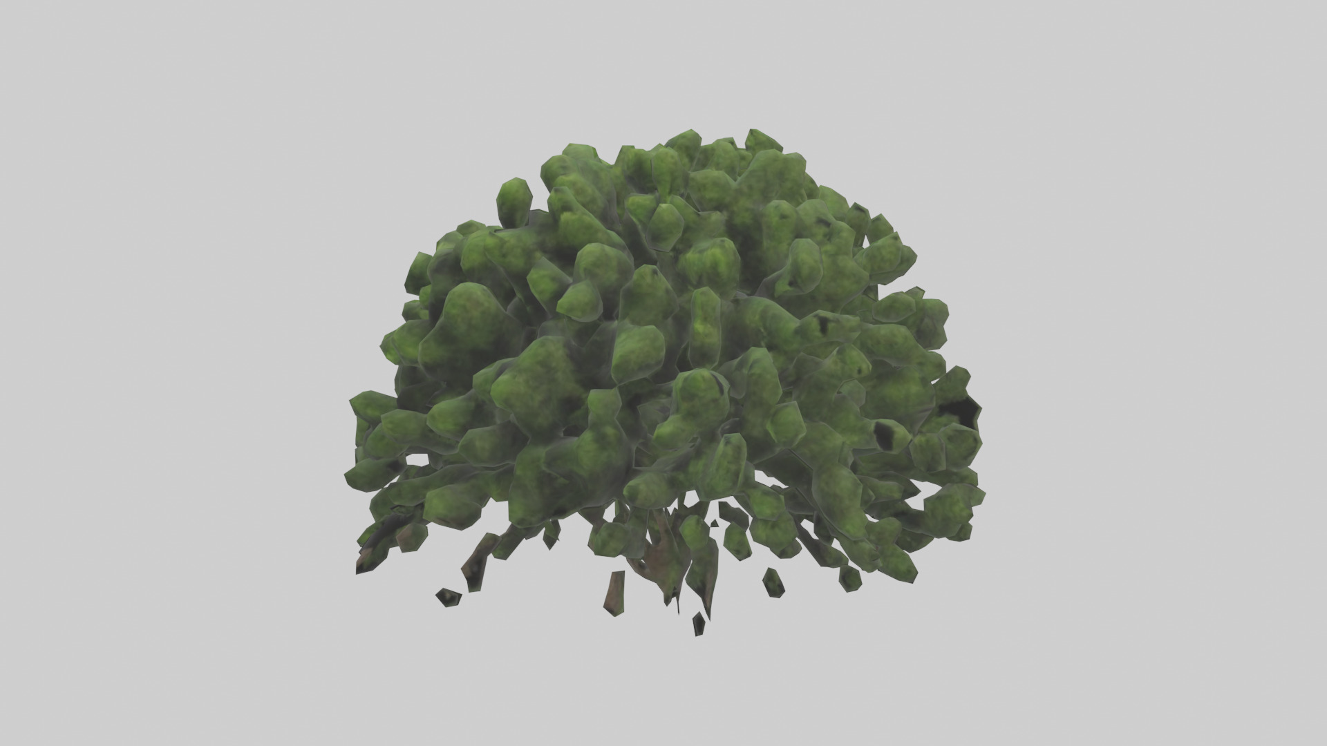 Creeping Juniper tree model 3D model_8