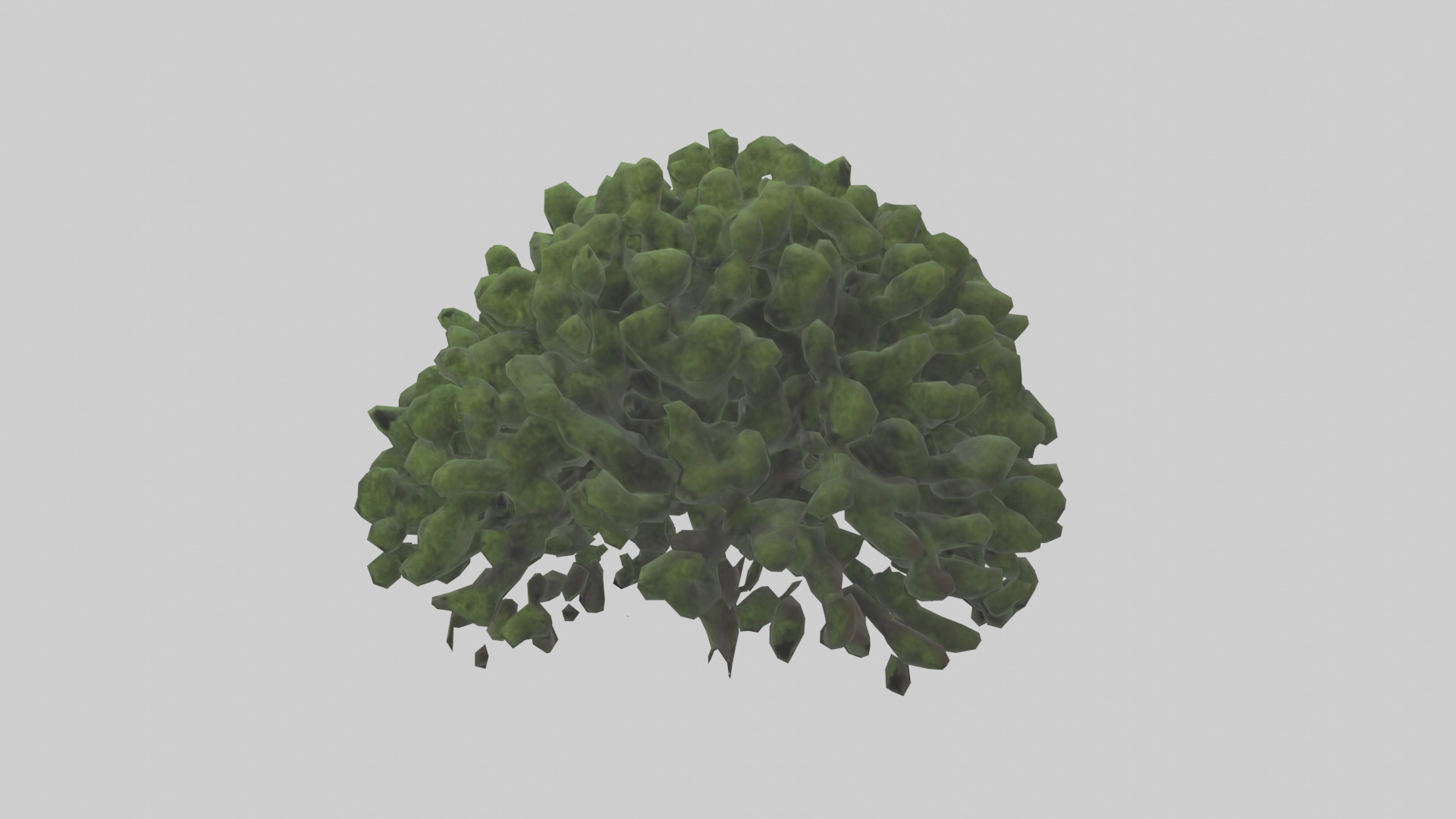 Creeping Juniper tree model 3D model_1