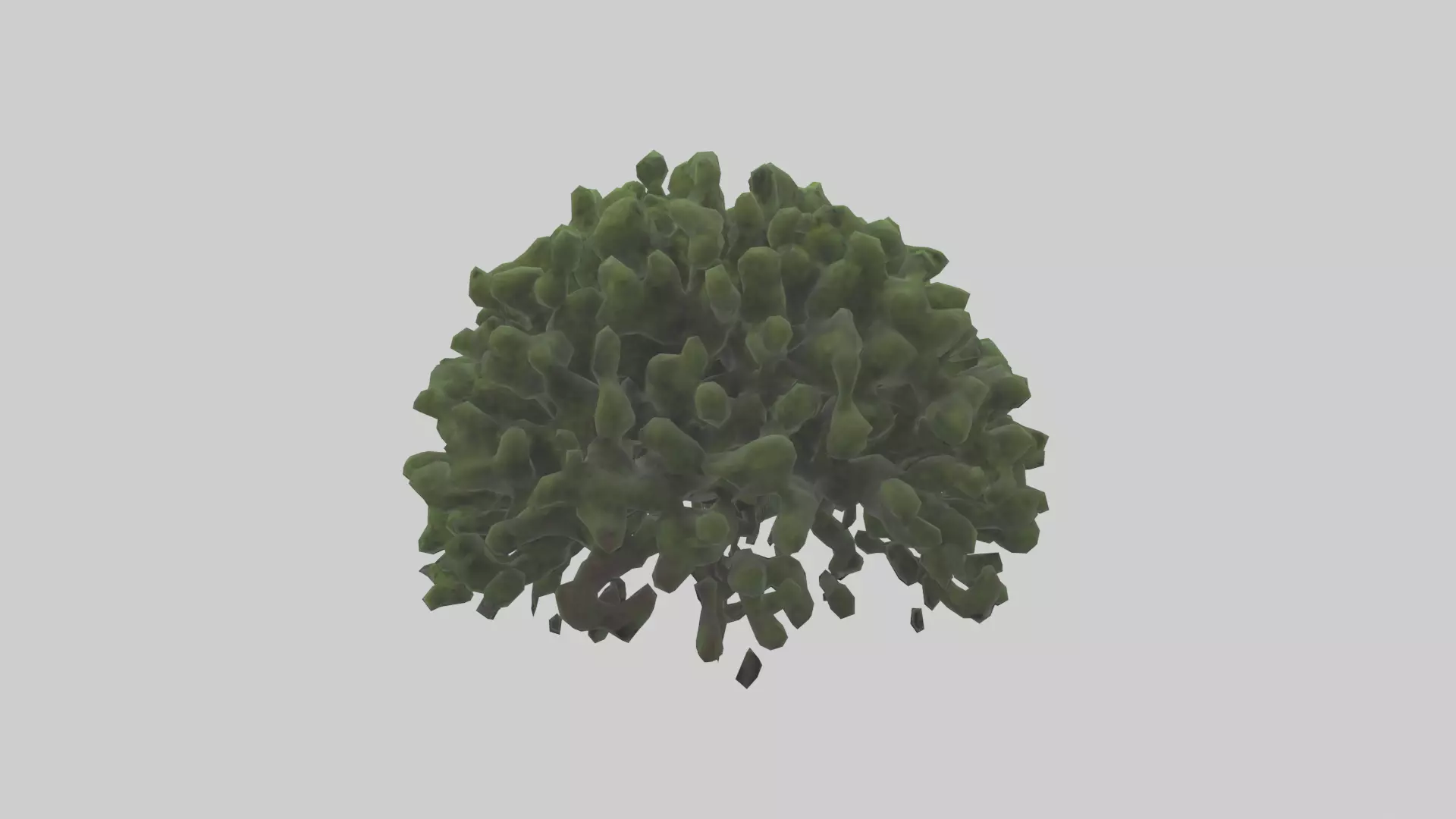 Creeping Juniper tree model 3D model_0