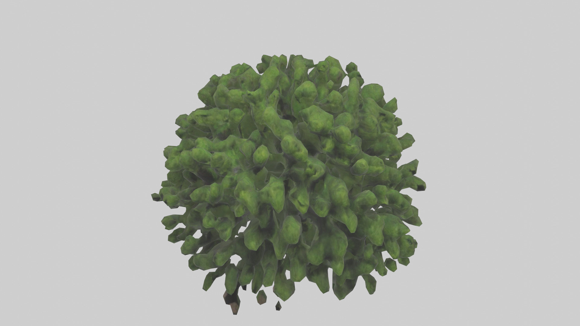 Creeping Juniper tree model 3D model_16