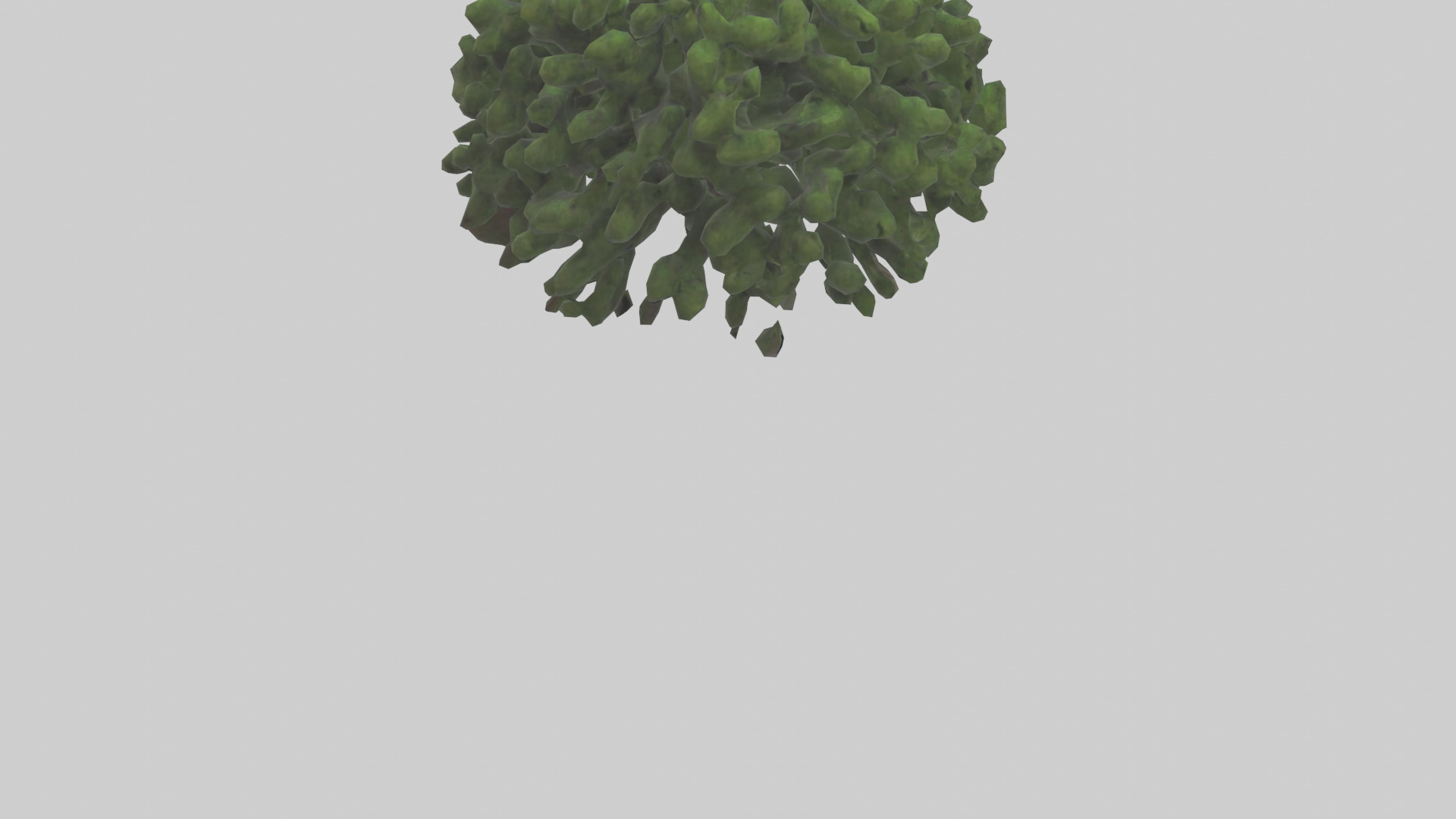 Creeping Juniper tree model 3D model_4