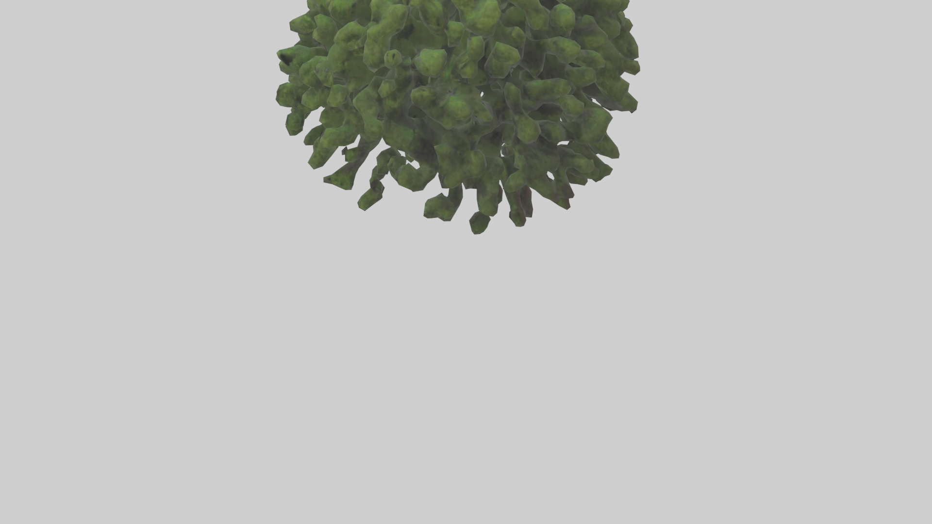 Creeping Juniper tree model 3D model_3