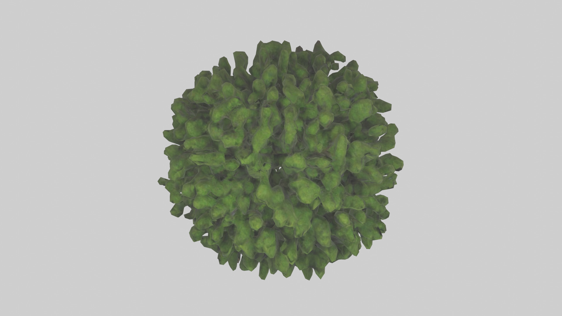 Creeping Juniper tree model 3D model_14