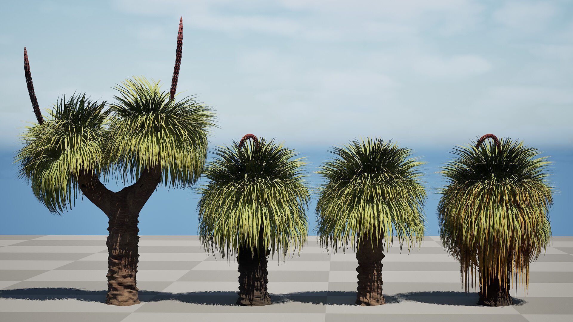 Australian Xanthorrhoea Pack Low-poly 3D model_12