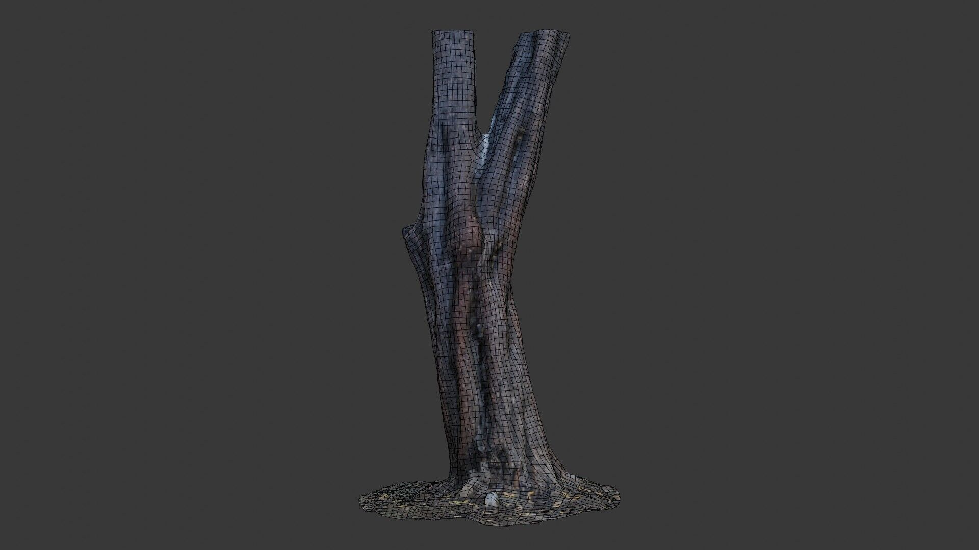 Split Tree Trunk - 3D Scanned Low-Poly Model Low-poly 3D model_2