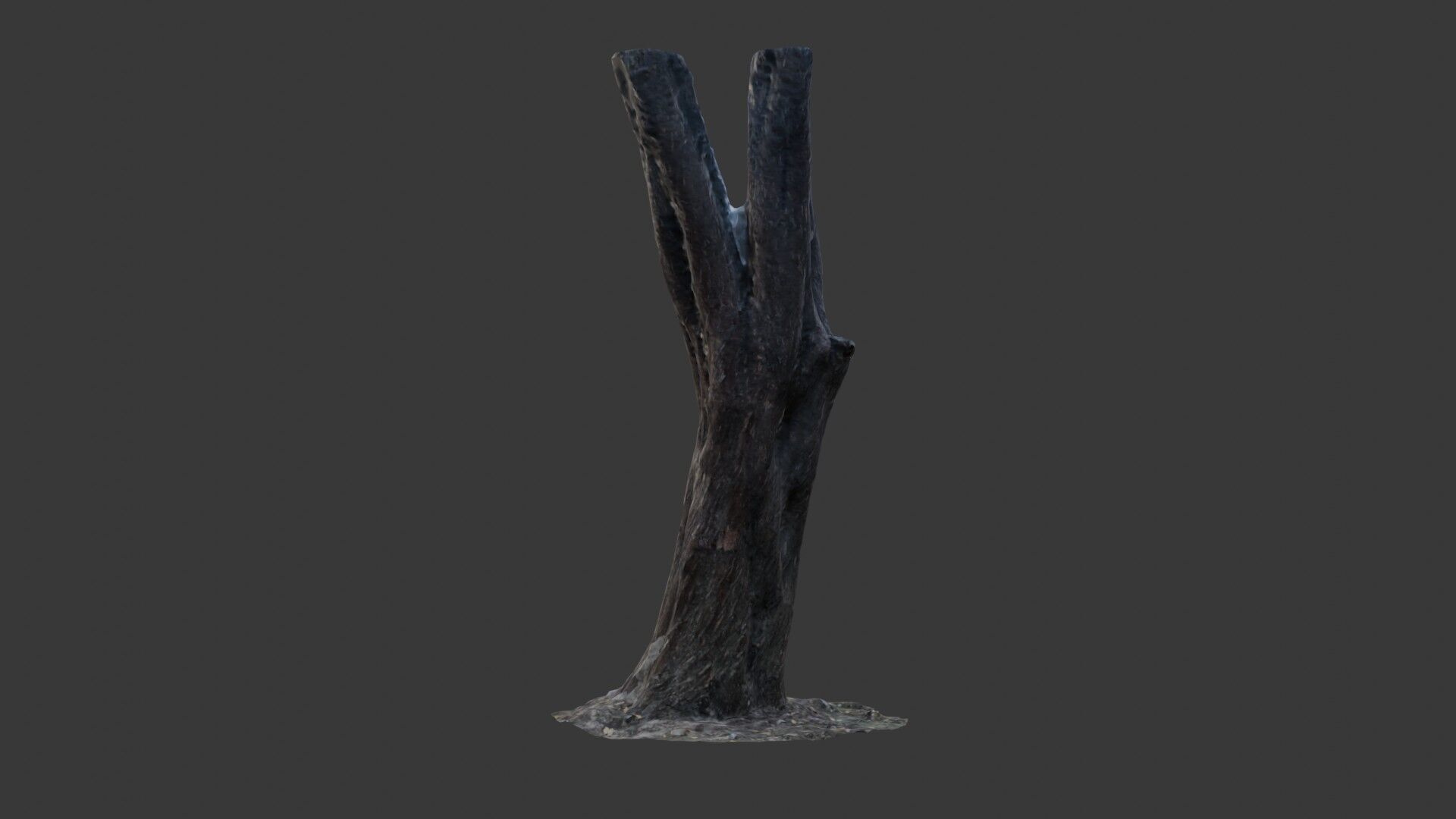 Split Tree Trunk - 3D Scanned Low-Poly Model Low-poly 3D model_6