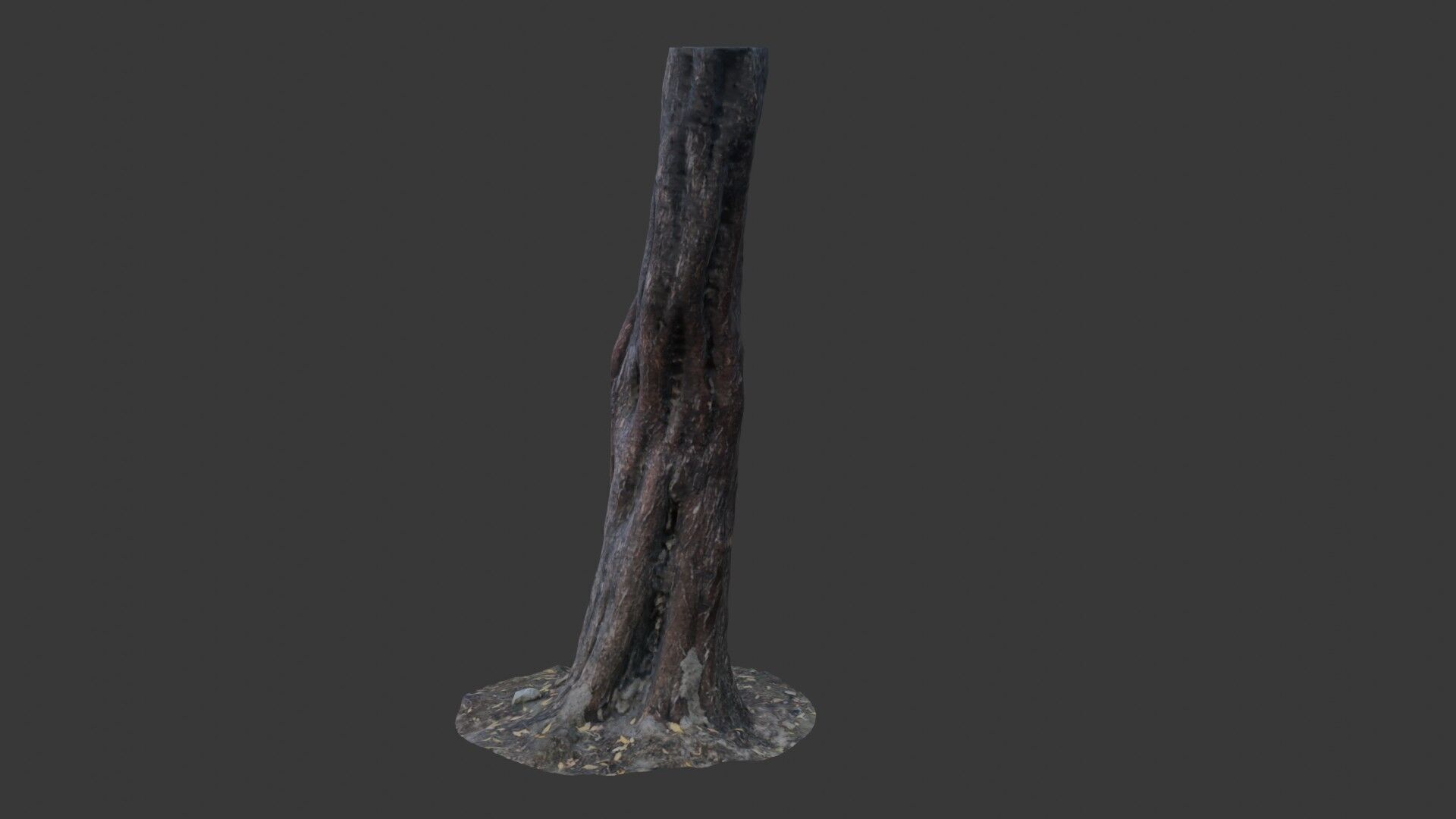 Split Tree Trunk - 3D Scanned Low-Poly Model Low-poly 3D model_7