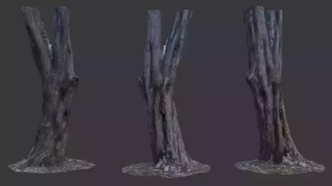 Split Tree Trunk - 3D Scanned Low-Poly Model
