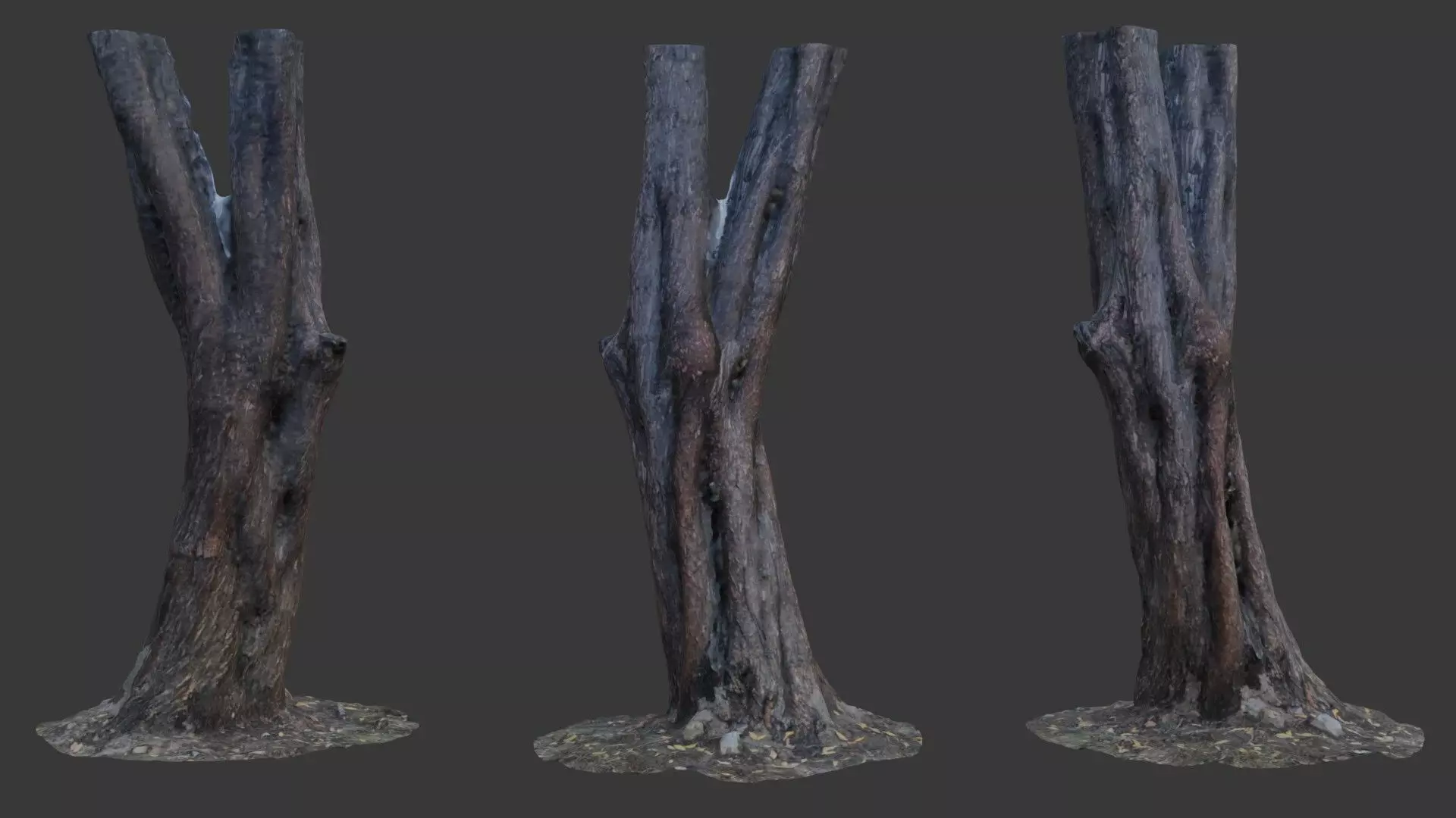Split Tree Trunk - 3D Scanned Low-Poly Model Low-poly 3D model_0