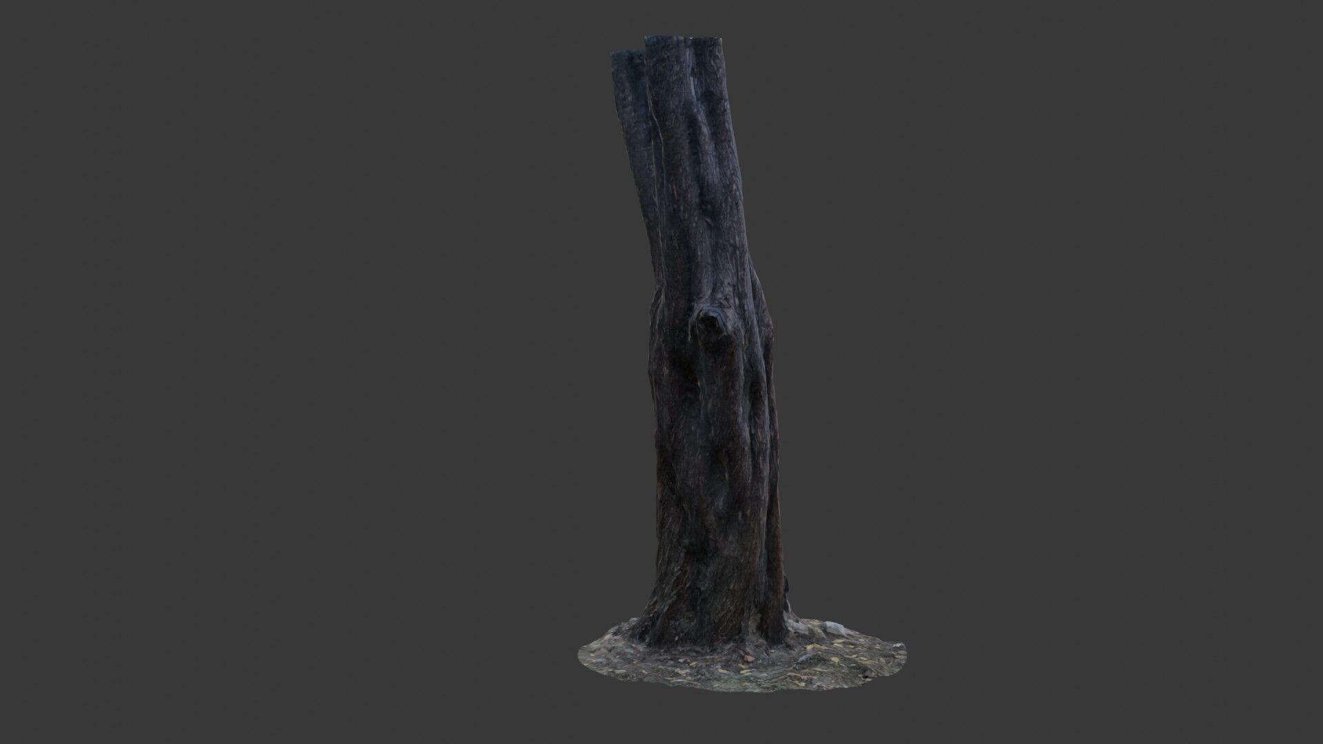 Split Tree Trunk - 3D Scanned Low-Poly Model Low-poly 3D model_5