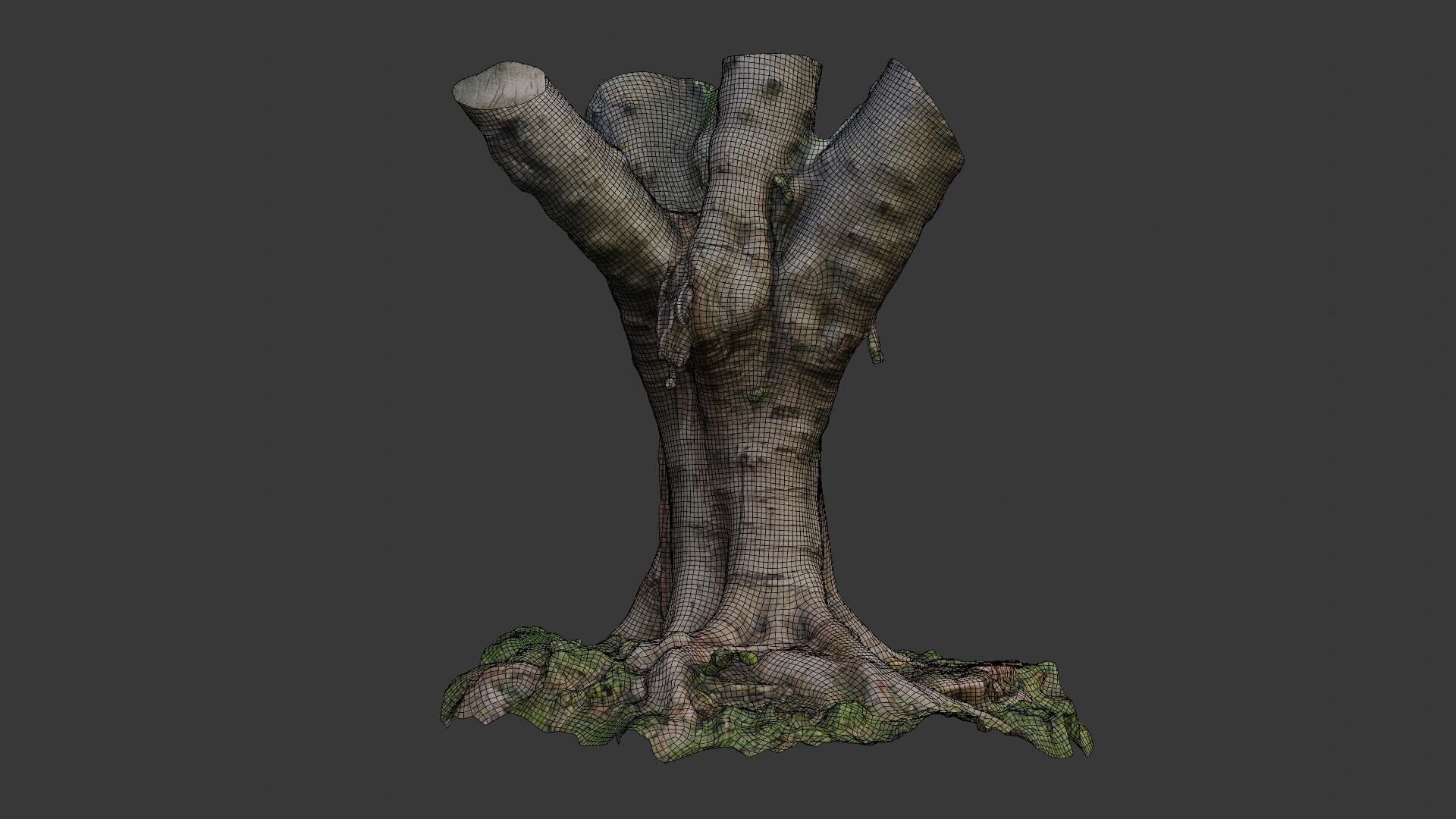 Old Pollarded Tree Trunk - 3D Scanned Low-Poly Model Low-poly 3D model_2