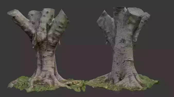 Old Pollarded Tree Trunk - 3D Scanned Low-Poly Model Low-poly 3D model Old Pollarded Tree Trunk - 3D Scanned Low-Poly Model Low-poly 3D model