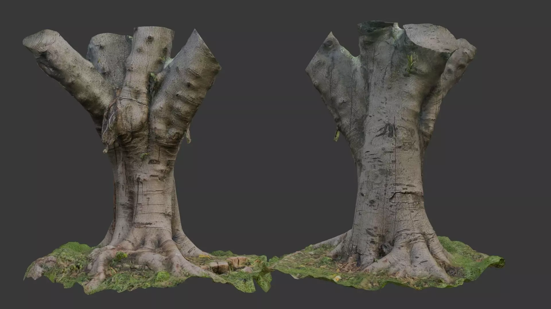 Old Pollarded Tree Trunk - 3D Scanned Low-Poly Model Low-poly 3D model_0