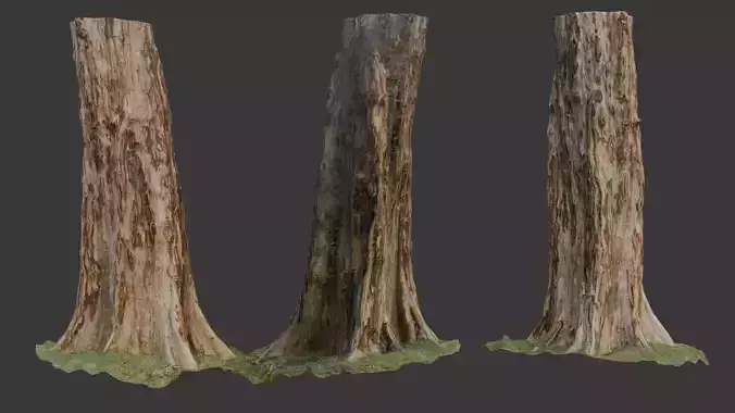 Weathered Tree Trunk - 3D Scanned Low-Poly Model