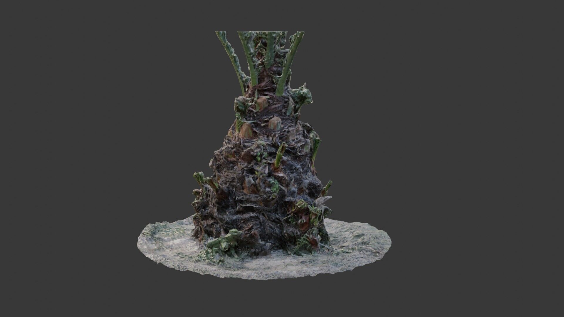 Decayed Plant Stump - 3D Scanned Organic Model Low-poly 3D model_6