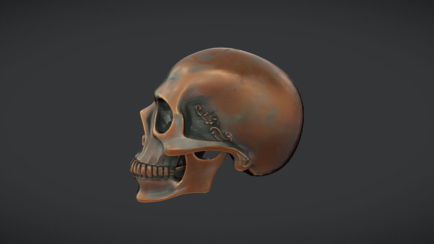 Bronze decorative human skull 3D model_27