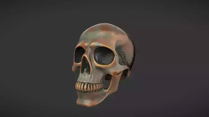 Bronze decorative human skull