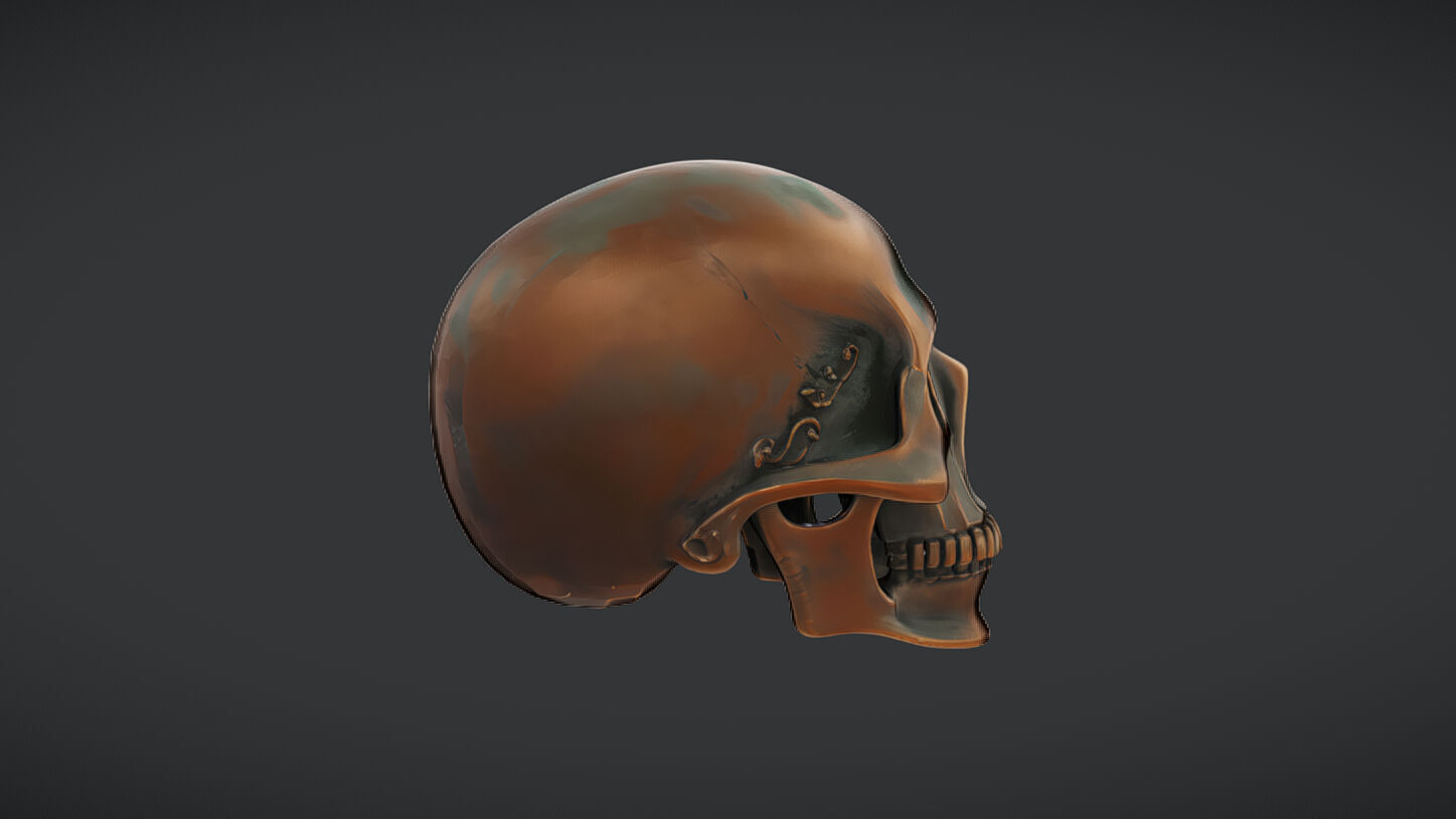 Bronze decorative human skull 3D model_14