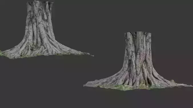 Massive Tree Trunk - 3D Scanned Model